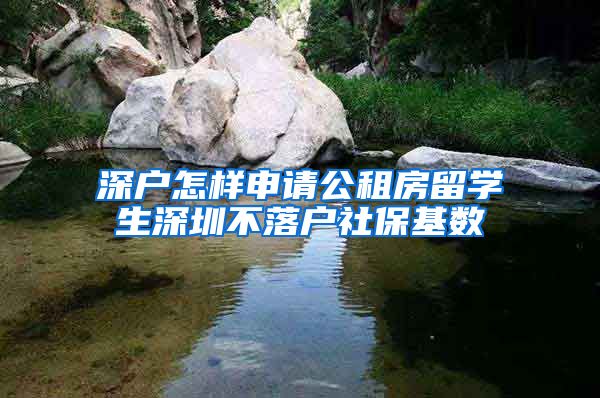 深户怎样申请公租房留学生深圳不落户社保基数