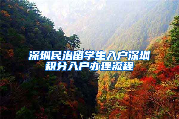深圳民治留学生入户深圳积分入户办理流程