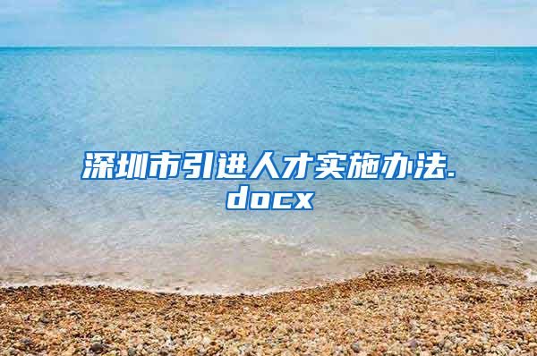 深圳市引进人才实施办法.docx