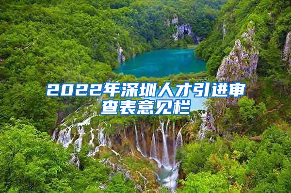 2022年深圳人才引进审查表意见栏