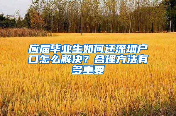 应届毕业生如何迁深圳户口怎么解决？合理方法有多重要