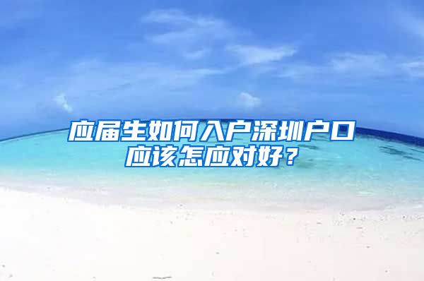 应届生如何入户深圳户口应该怎应对好？