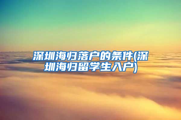 深圳海归落户的条件(深圳海归留学生入户)