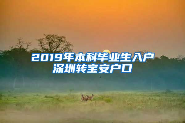 2019年本科毕业生入户深圳转宝安户口