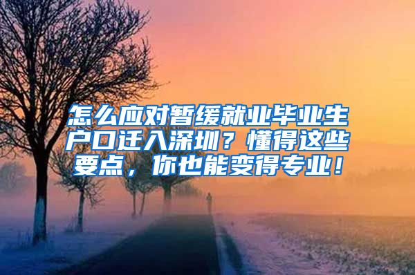 怎么应对暂缓就业毕业生户口迁入深圳？懂得这些要点，你也能变得专业！