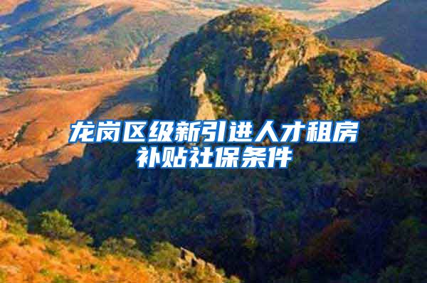 龙岗区级新引进人才租房补贴社保条件