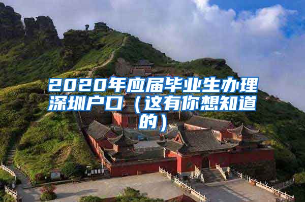 2020年应届毕业生办理深圳户口（这有你想知道的）