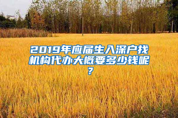 2019年应届生入深户找机构代办大概要多少钱呢？