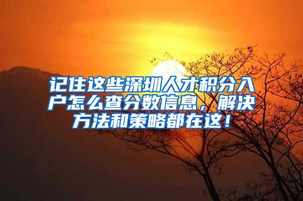 记住这些深圳人才积分入户怎么查分数信息，解决方法和策略都在这！
