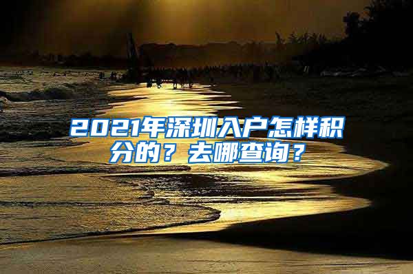 2021年深圳入户怎样积分的？去哪查询？