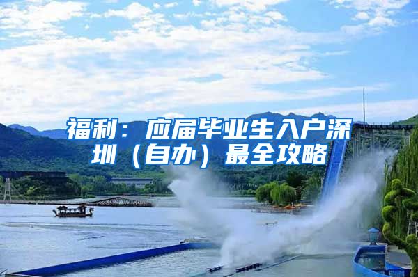 福利：应届毕业生入户深圳（自办）最全攻略