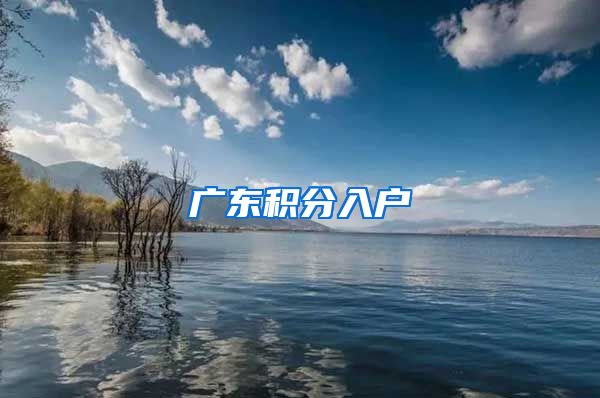 广东积分入户