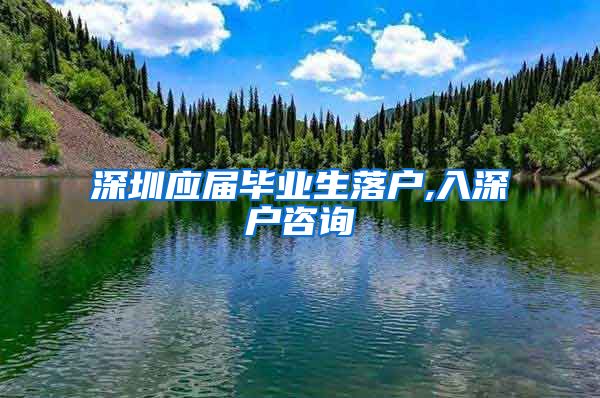深圳应届毕业生落户,入深户咨询
