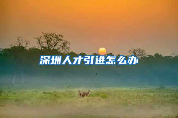 深圳人才引进怎么办