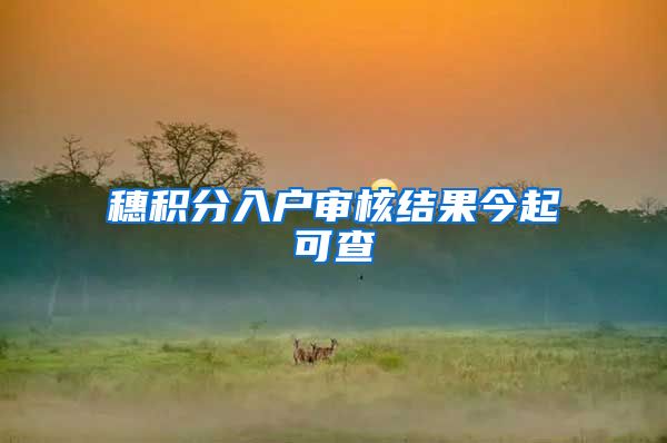 穗积分入户审核结果今起可查