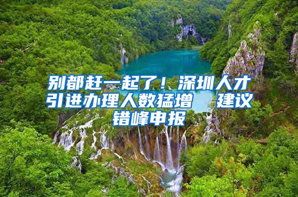 别都赶一起了！深圳人才引进办理人数猛增  建议错峰申报