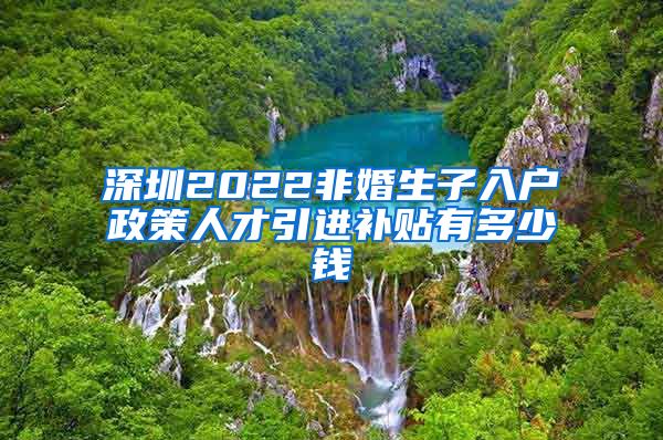 深圳2022非婚生子入户政策人才引进补贴有多少钱