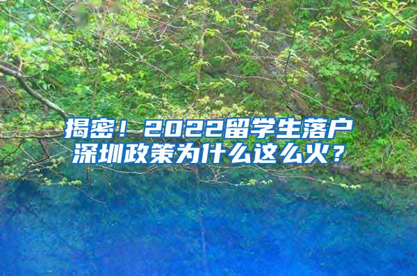 揭密！2022留学生落户深圳政策为什么这么火？