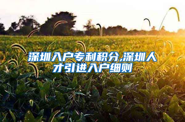 深圳入户专利积分,深圳人才引进入户细则
