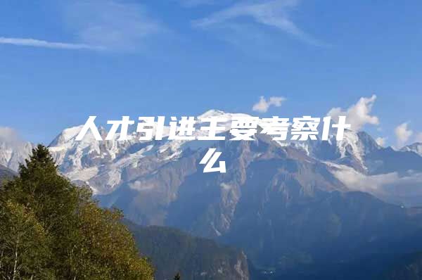 人才引进主要考察什么