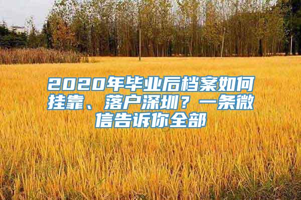 2020年毕业后档案如何挂靠、落户深圳？一条微信告诉你全部
