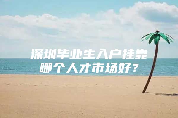 深圳毕业生入户挂靠哪个人才市场好？