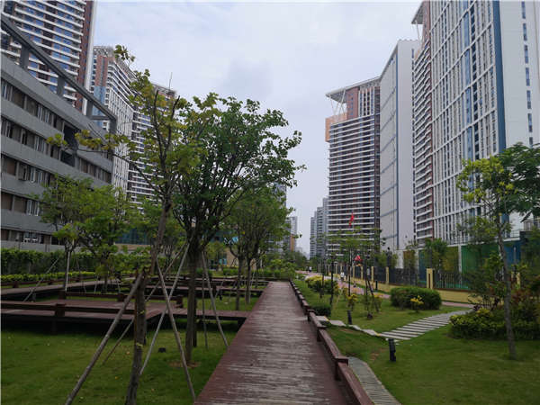 如何解决深圳留学人才硕士落户政策的问题，看这一篇就够了！