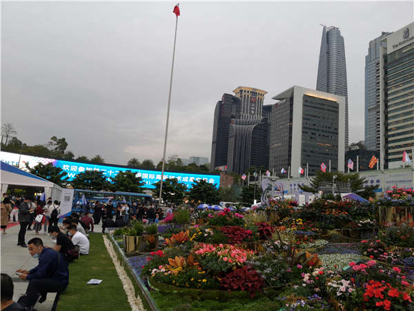 为你节省数千元的2021年留学生深圳落户流程技巧和方法！