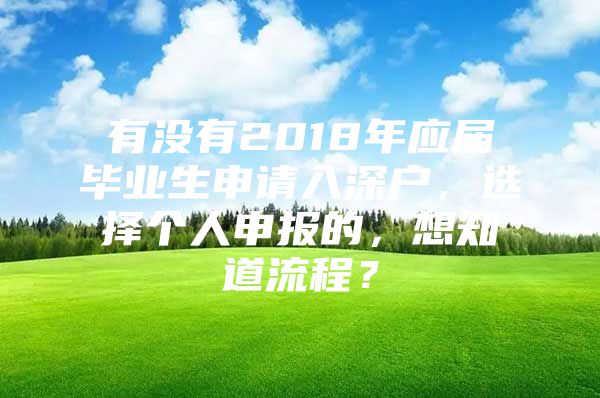 有没有2018年应届毕业生申请入深户，选择个人申报的，想知道流程？
