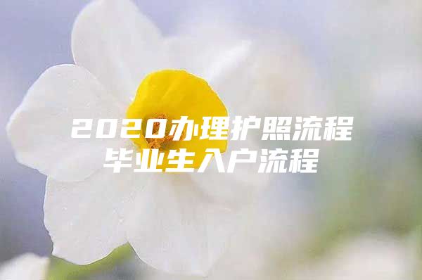 2020办理护照流程毕业生入户流程