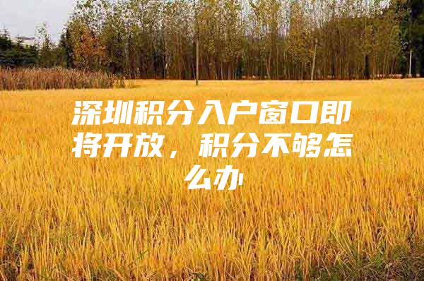 深圳积分入户窗口即将开放，积分不够怎么办