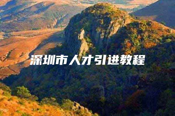 深圳市人才引进教程