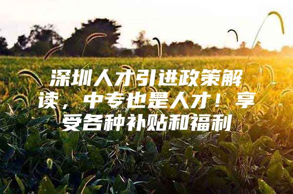 深圳人才引进政策解读，中专也是人才！享受各种补贴和福利