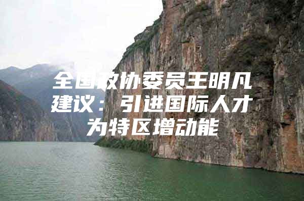 全国政协委员王明凡建议：引进国际人才为特区增动能