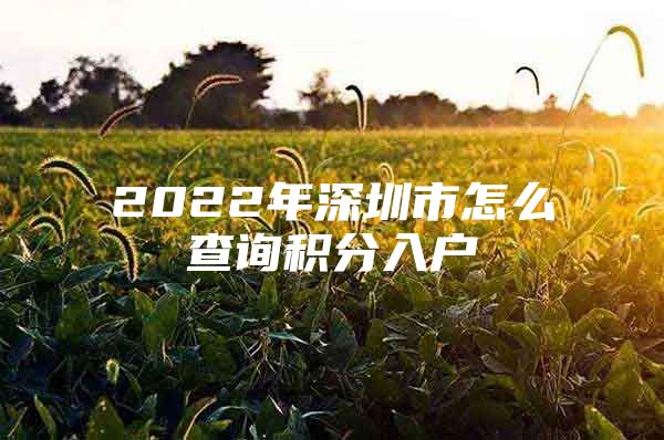2022年深圳市怎么查询积分入户