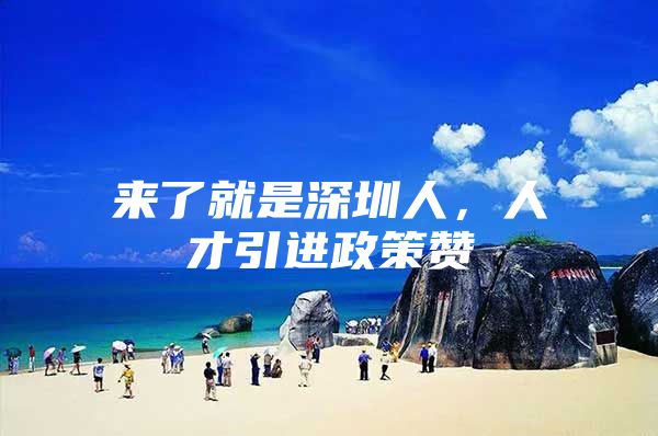来了就是深圳人，人才引进政策赞