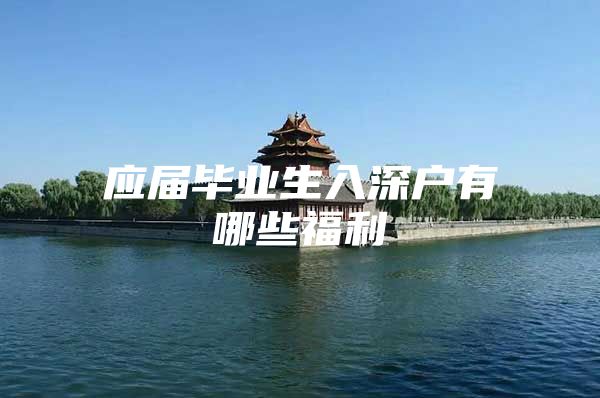 应届毕业生入深户有哪些福利