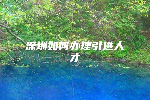深圳如何办理引进人才