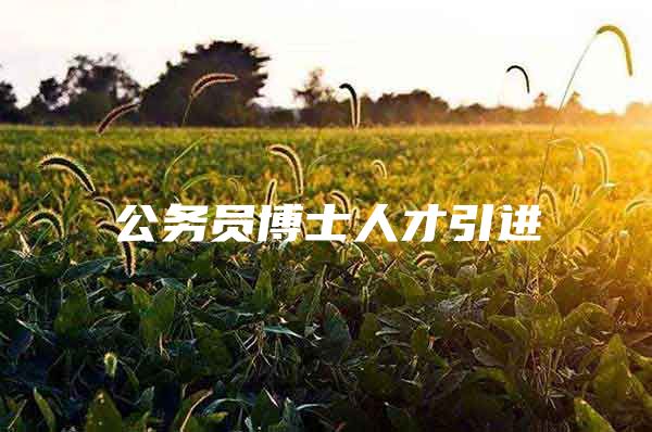 公务员博士人才引进