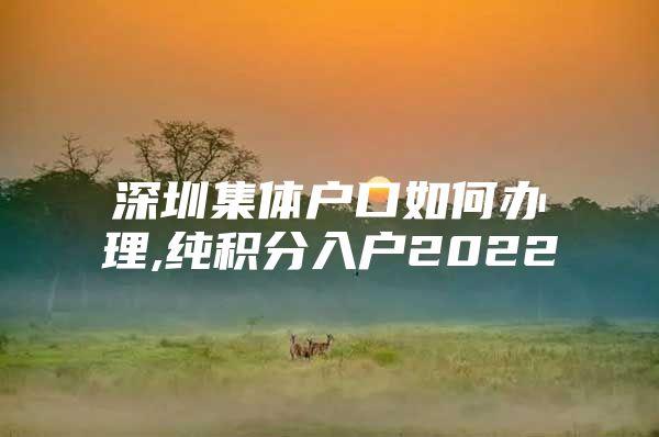 深圳集体户口如何办理,纯积分入户2022