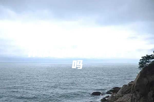 深圳留学生落户政策补贴秒批入户是调干吗