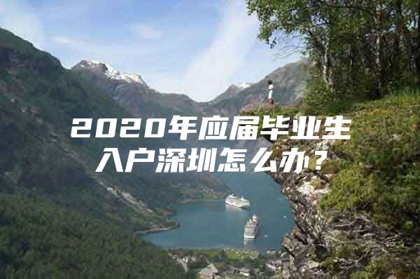2020年应届毕业生入户深圳怎么办？