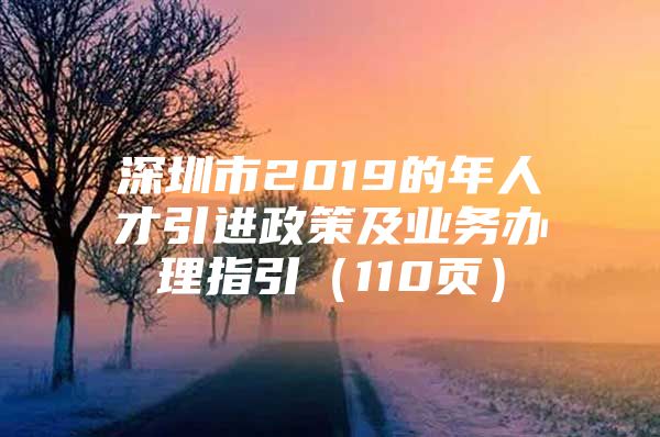 深圳市2019的年人才引进政策及业务办理指引（110页）