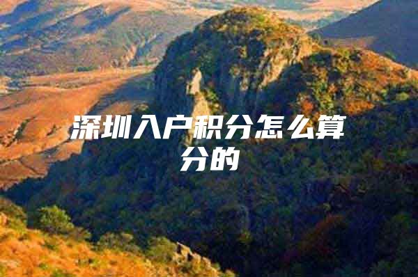 深圳入户积分怎么算分的