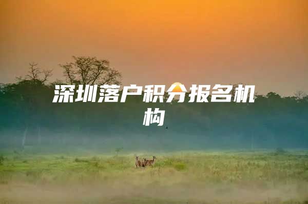 深圳落户积分报名机构