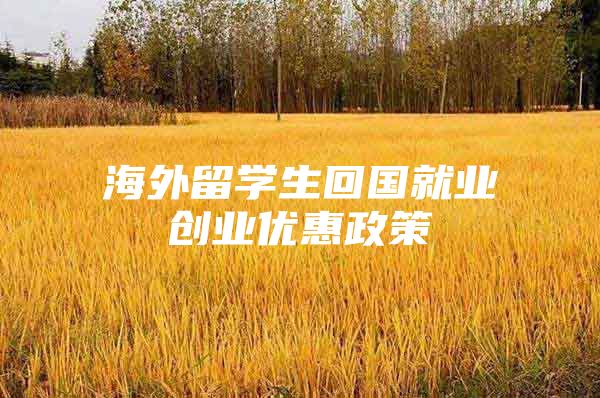 海外留学生回国就业创业优惠政策