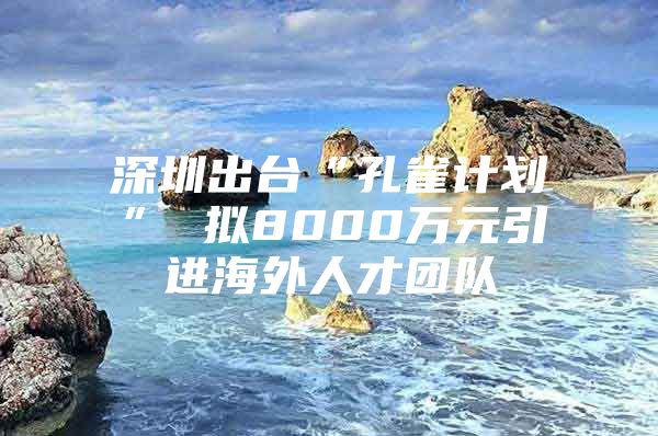 深圳出台“孔雀计划” 拟8000万元引进海外人才团队