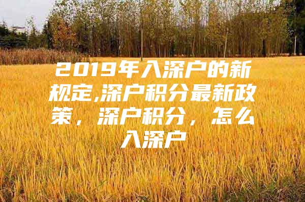 2019年入深户的新规定,深户积分最新政策，深户积分，怎么入深户