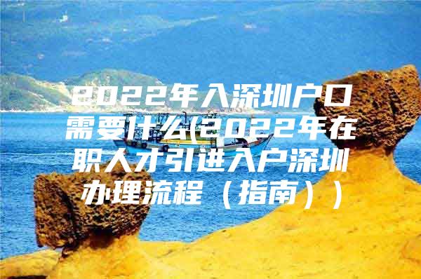 2022年入深圳户口需要什么(2022年在职人才引进入户深圳办理流程（指南）)