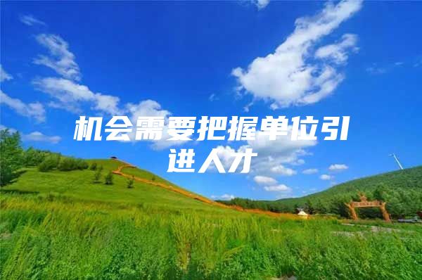 机会需要把握单位引进人才